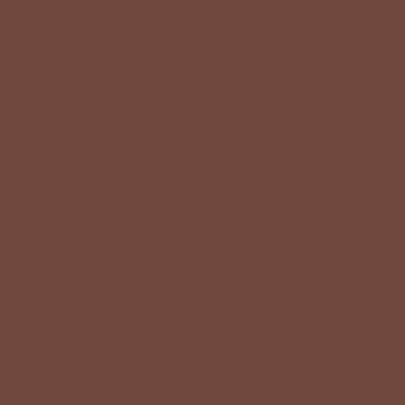 Farrow & Ball Deep Reddish Brown No. W101 Colour