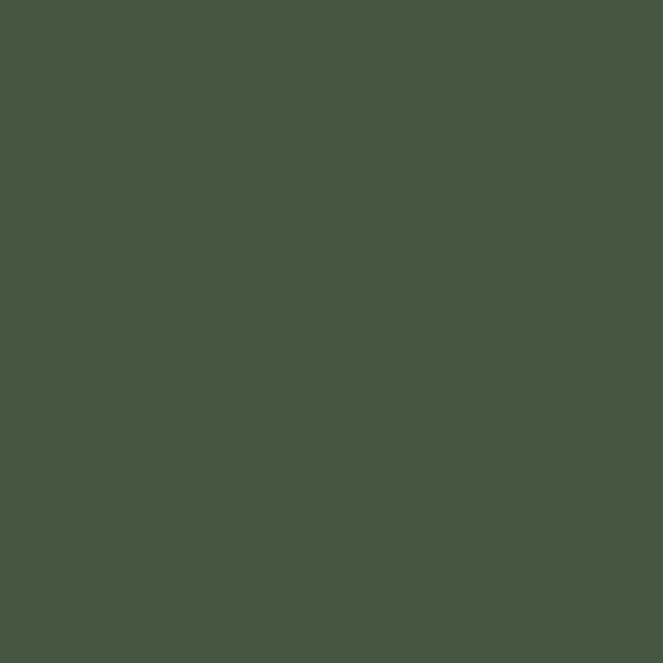 Farrow & Ball Duck Green No. W55 Colour