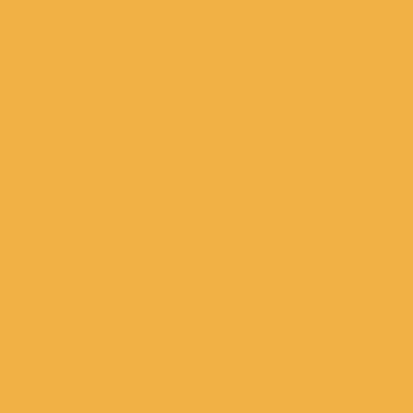 Farrow & Ball Dutch Orange No. W76 Colour