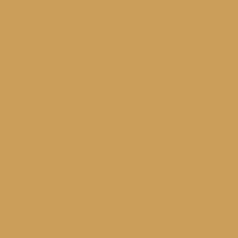 Farrow & Ball India Yellow No. 66 Colour