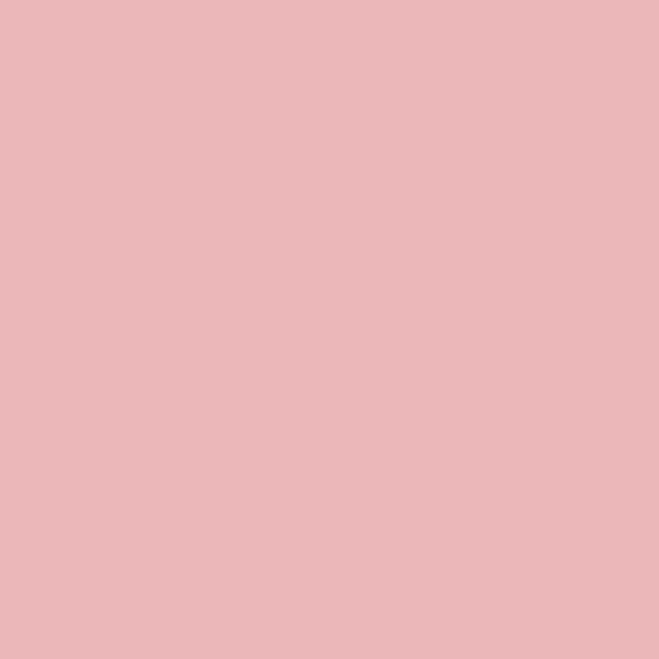 Farrow & Ball Nancy's Blushes No. 278 Colour