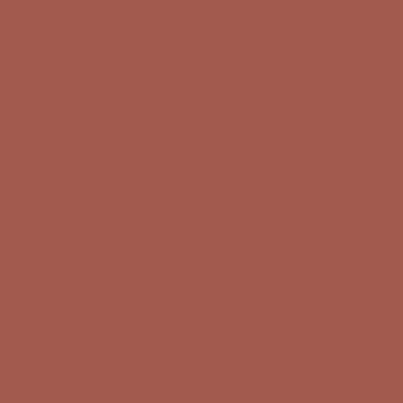 Farrow & Ball Picture Gallery Red No. 42 Colour
