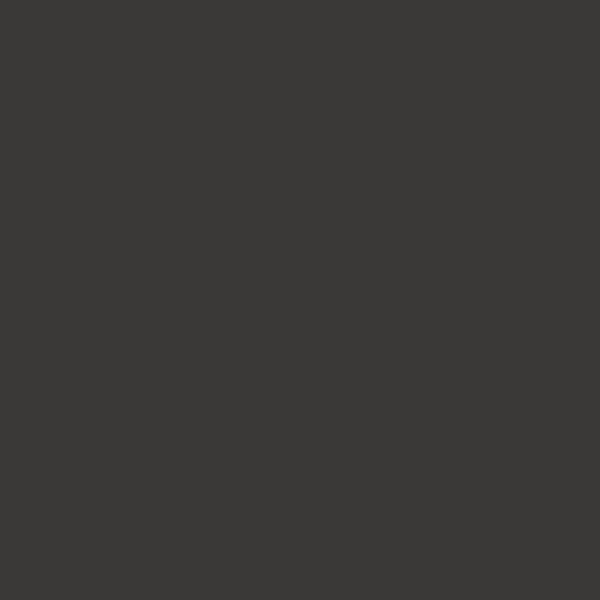 Farrow & Ball Pitch Black No. 256 Colour