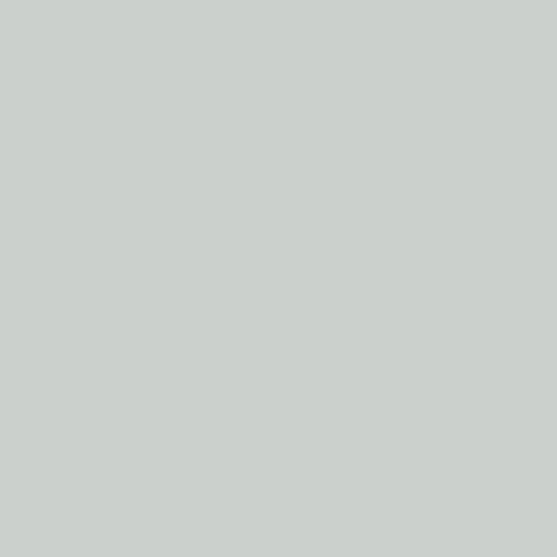 Farrow & Ball Skylight No. 205 Colour
